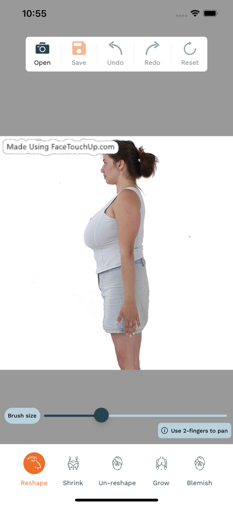 Interfaccia del simulatore di chirurgia plastica FaceTouchUp che mostra il profilo laterale di una donna e strumenti di modifica come rimodella e aumenta.