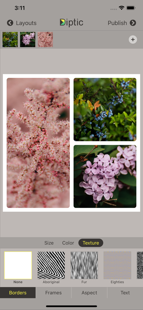 Diptic app screen showing a floral photo collage with border texture adjustment options