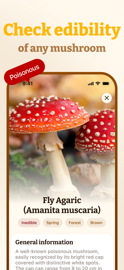 Mushroom ID - Identifier App - 毒性のあるベニテングタケ種のディテールを表示するキノコ識別画面