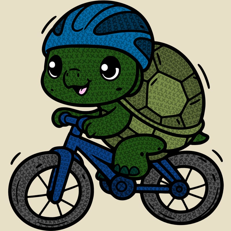 turtle on a bike