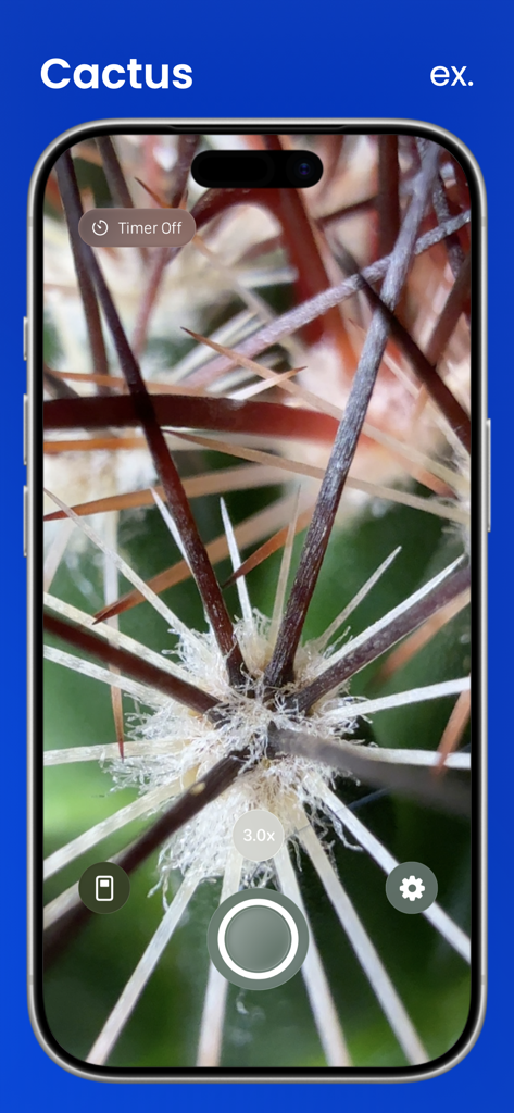 Macroscope Cam - Macroscope Cam app interface displaying a 3x zoom macro shot of cactus thorns