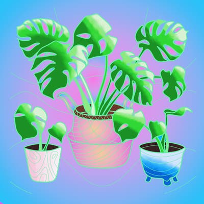 flowers_25