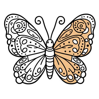 butterfly