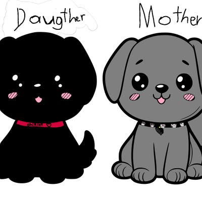 cute dog