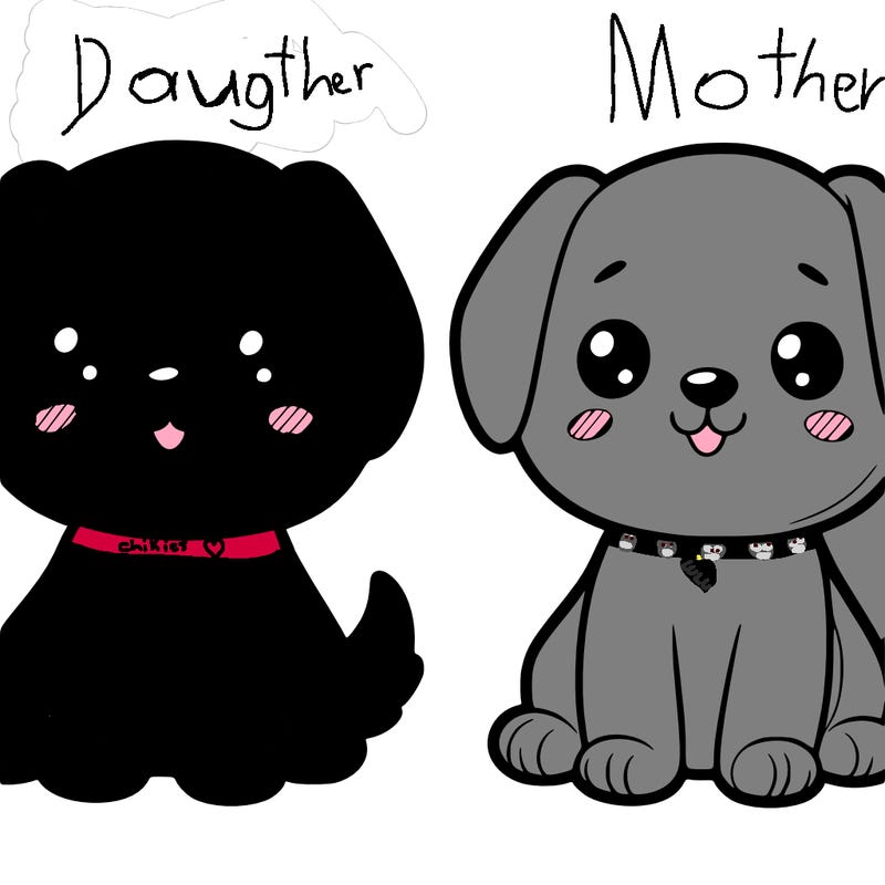 cute dog