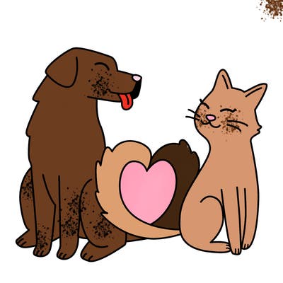 animals_22