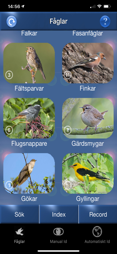 A grid of bird categories and species images for identification in the Fågelsång Id mobile app.
