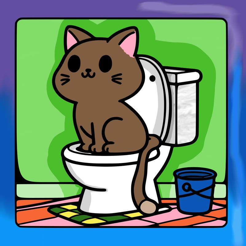 cat on toilet