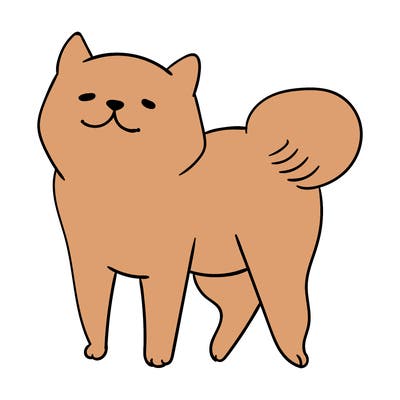 animals_29