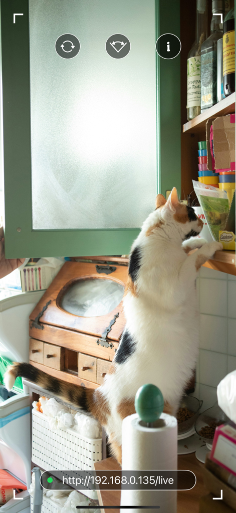 Security Camera - Home Monitor - Heimüberwachungs-App Live-Stream, der eine Katze in einem Küchenschrank zeigt