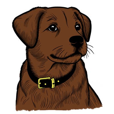 dog realistic