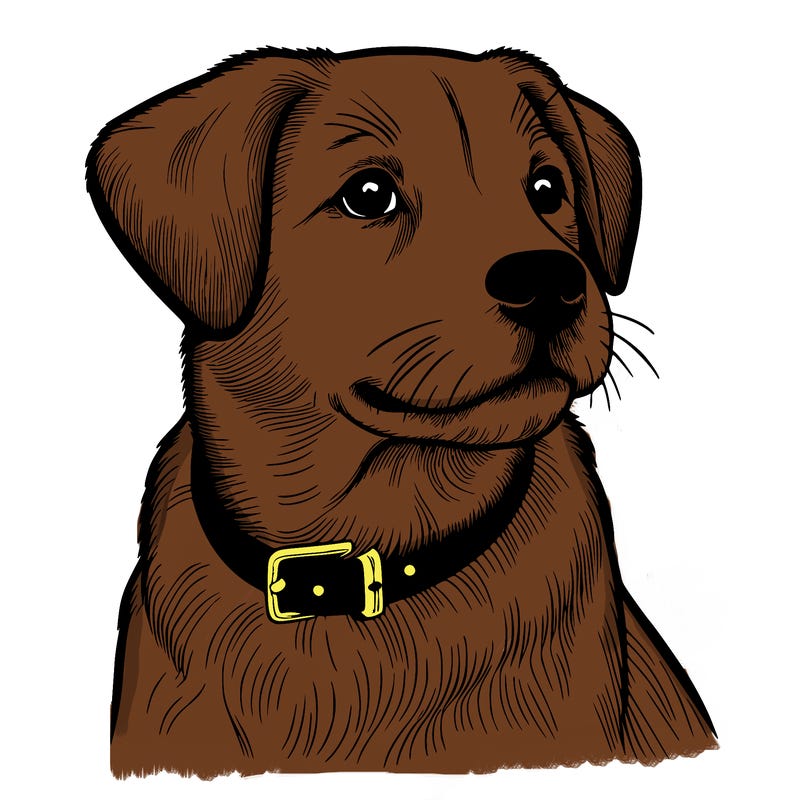 dog realistic