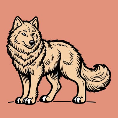 wolf