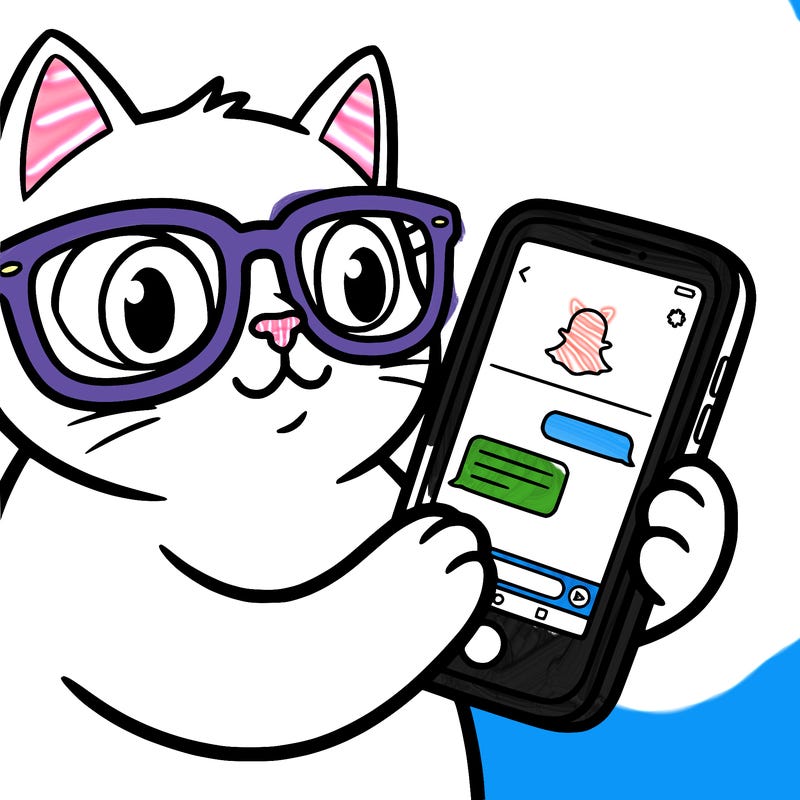 a cat that’s on the phone looking at snapchat