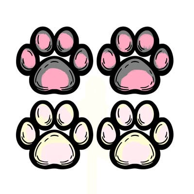 four paw prints