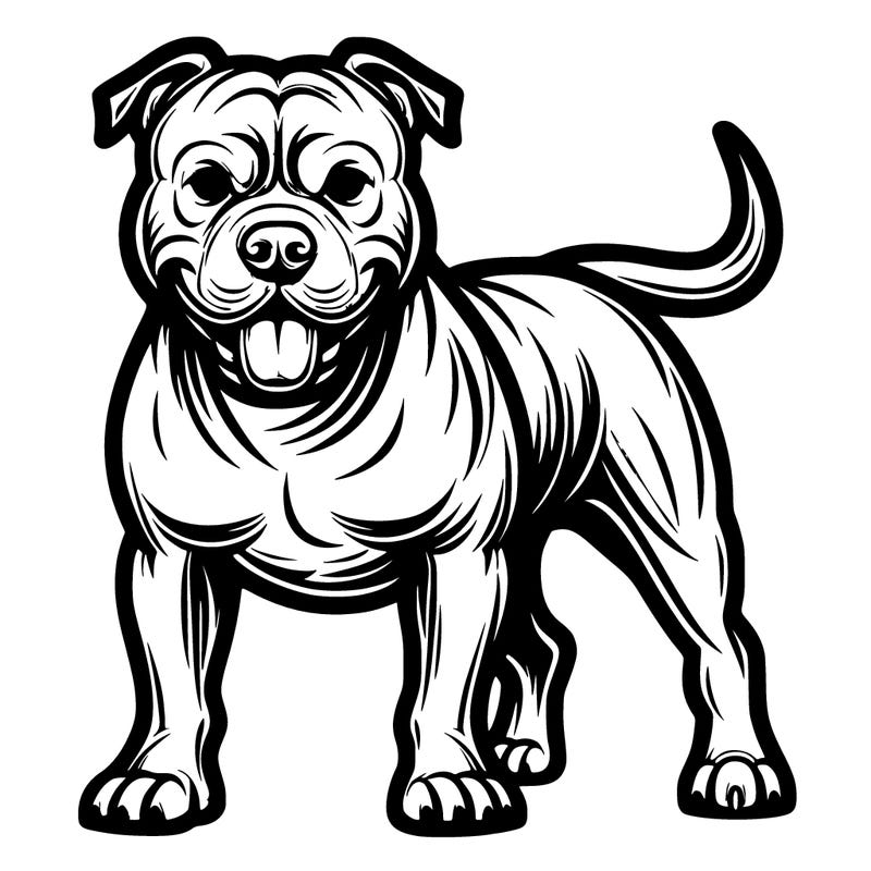 pitbull