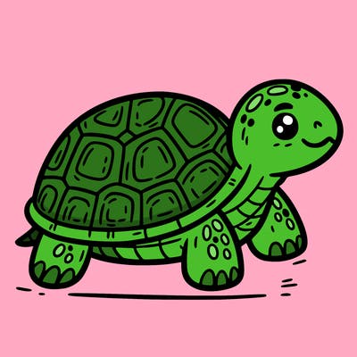 turtle