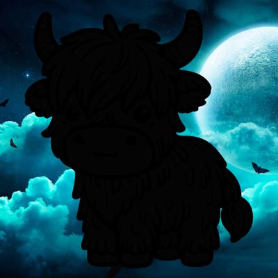 highland cow