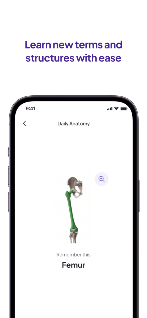 Daily Anatomy Flashcards - Interfaz de la aplicación Daily Anatomy mostrando una tarjeta de memoria 3D con el hueso del fémur resaltado en verde