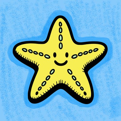 starfish