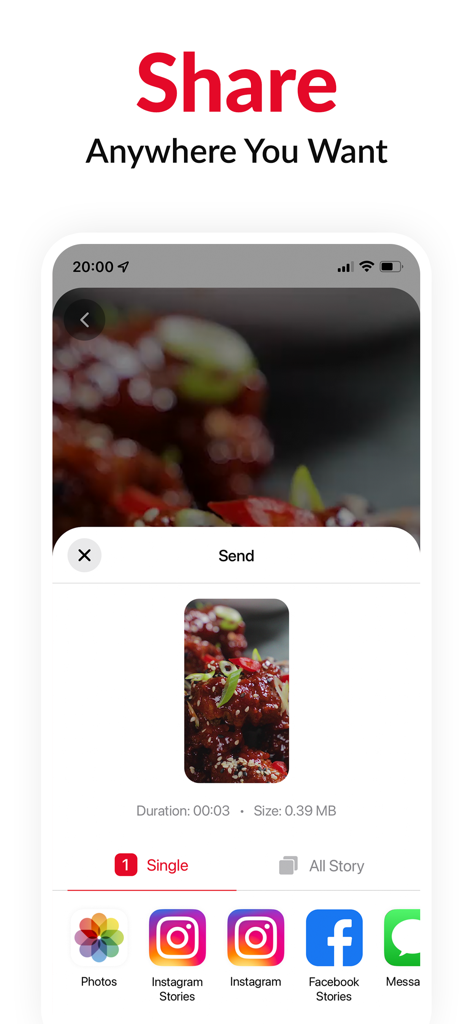 PinGrab app sharing screen showing options to export saved Pinterest videos to Instagram Facebook and Photos