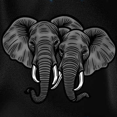 two african  elephant heads