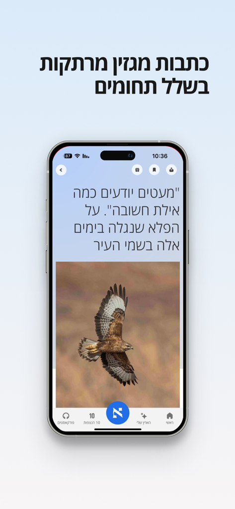 A smartphone screen showing a Hebrew magazine article on the Haaretz app featuring a photo of a bird in flight