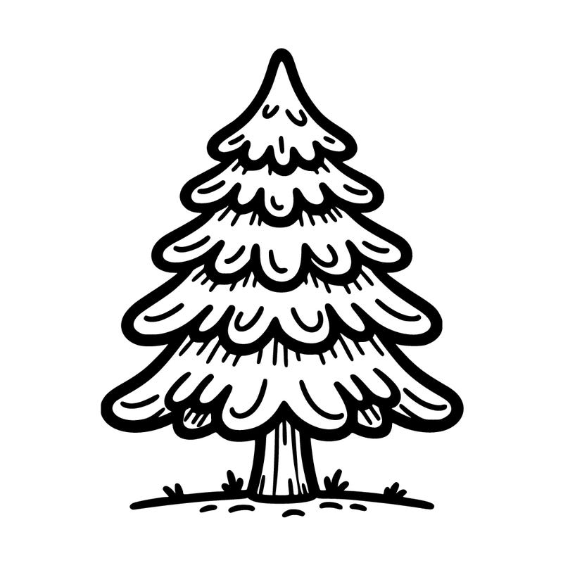 fir tree