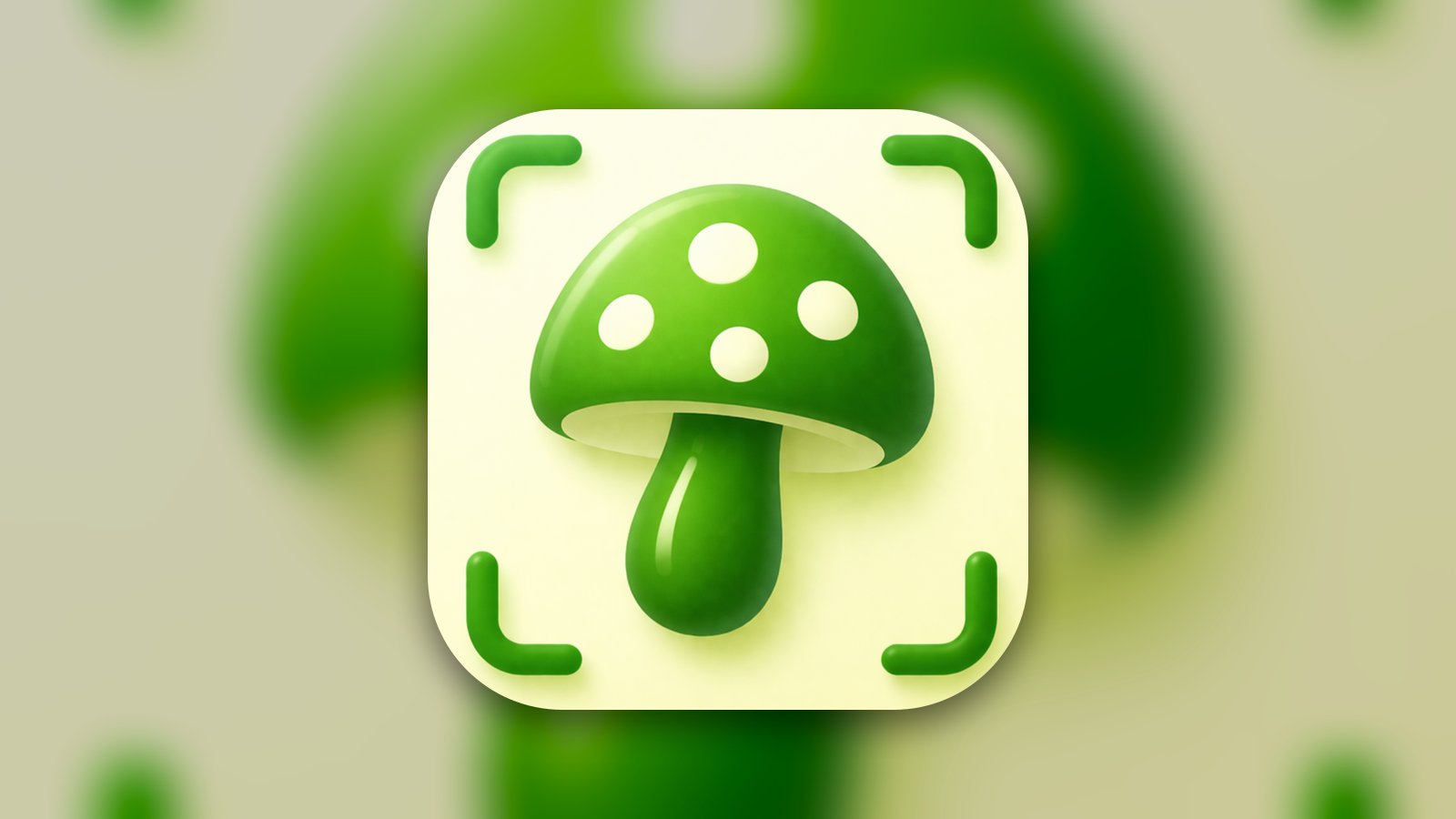 Mushroom Identifier: MycoID - Education App | MWM