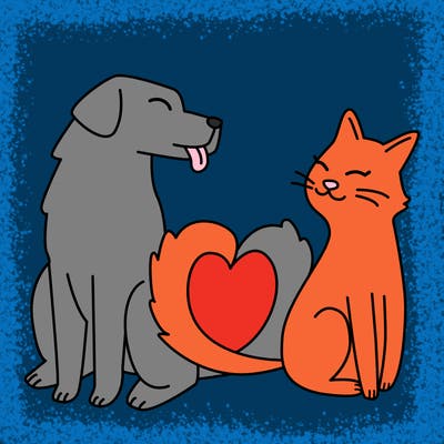 animals_22