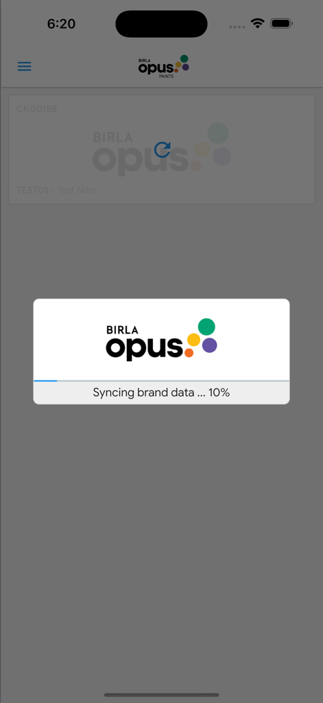Birla Opus Paintcraft Pulse app screen displaying a progress bar with the message Syncing brand data 10 percent