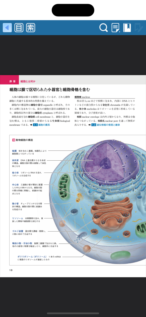 Detailed animal cell anatomy diagram with Japanese text labels in a medical ebook app