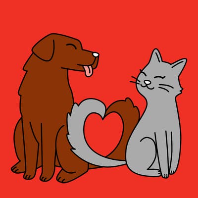 animals_22