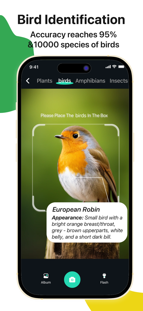 Scanner-picture this - Smartphone interface of Scanner-picture this app identifying a European Robin bird with 95 percent accuracy