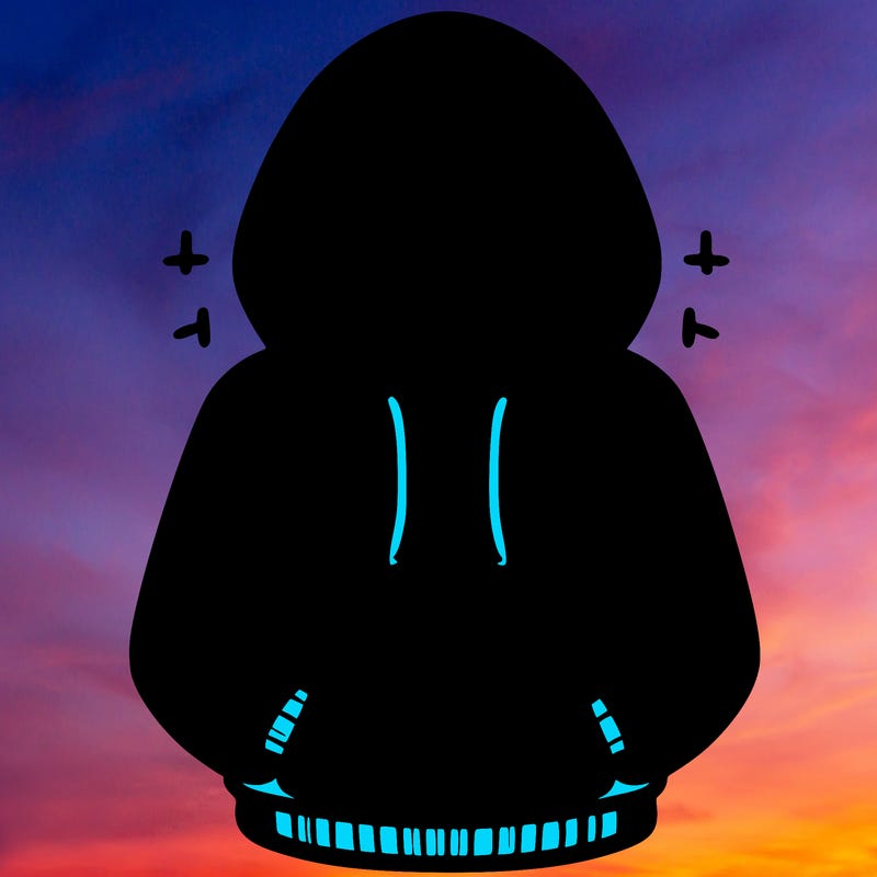 hoodie