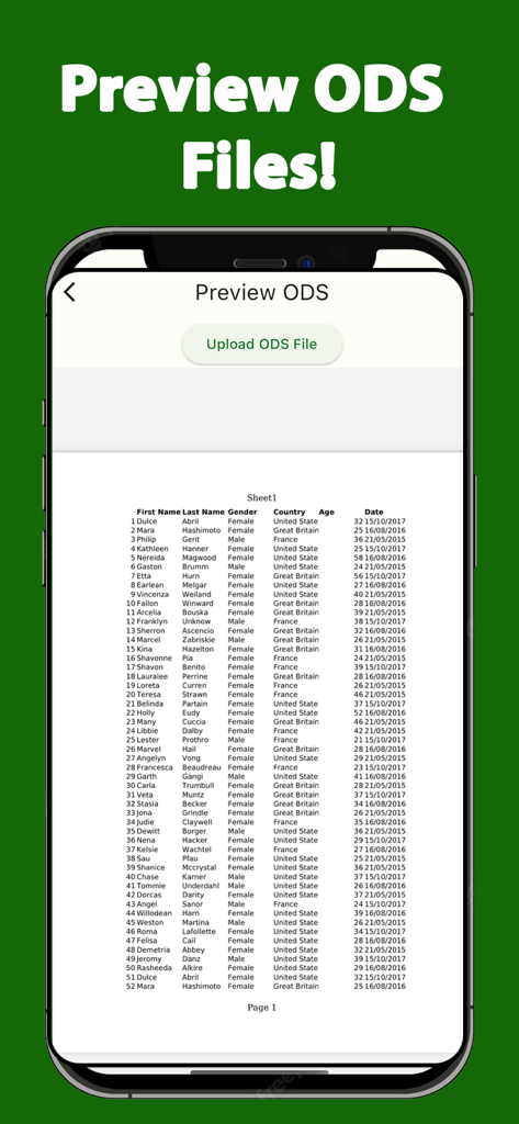 Interfaz de la aplicación ODS Reader que muestra una vista previa de un archivo de hoja de cálculo en un smartphone