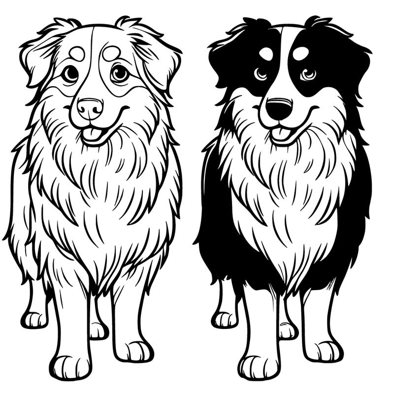 𝓻𝓮𝓪𝓵𝓲𝓼𝓽𝓲𝓬 𝓐𝓾𝓼𝓽𝓻𝓪𝓵𝓲𝓪𝓷 𝓼𝓱𝓮𝓹𝓪𝓻𝓭