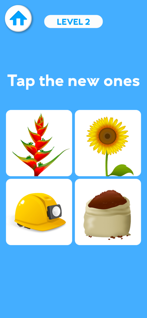 A memory training game level for seniors where users tap on new items in a grid