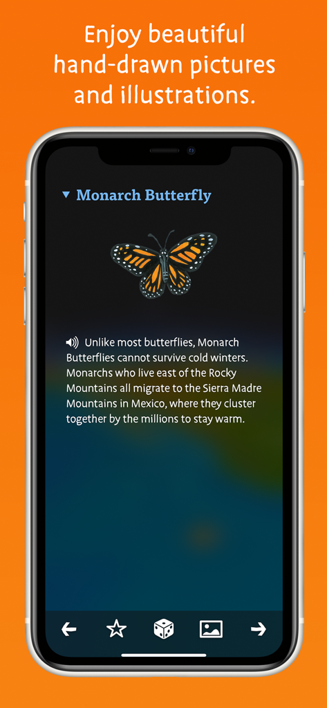 Barefoot World Atlas - Illustrazione disegnata a mano di una farfalla monarca e fatti educativi su uno schermo di smartphone.