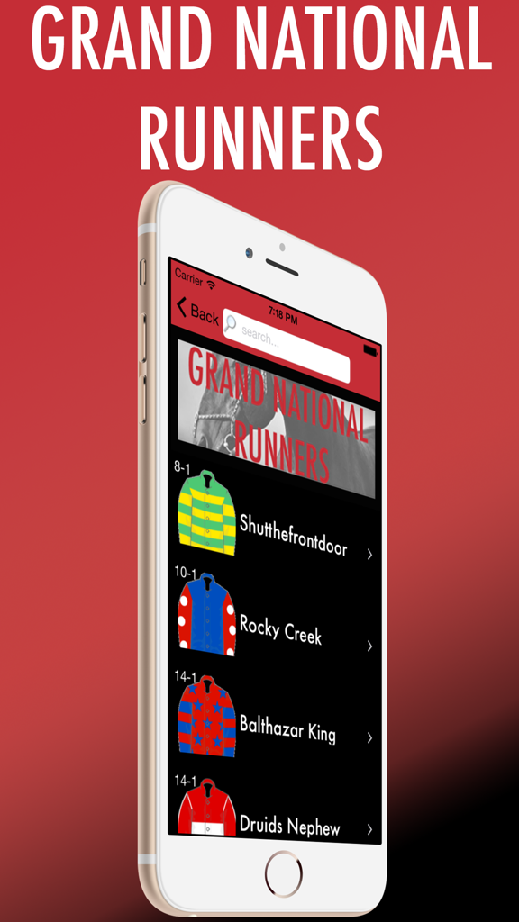 A mobile app screen showing a list of horse racing runners with their names, jockey silks, and betting odds for the Grand National.