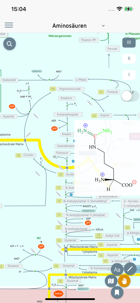 Detailed metabolic pathway map for amino acids in the Biochemistry app showing chemical structures