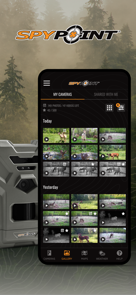 SPYPOINT - SPYPOINT mobile app interface showing a gallery of deer photos and videos captured by trail cameras