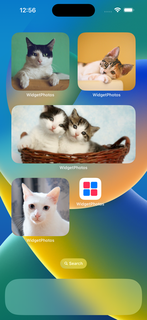 iPhone home screen customized with various cat photo widgets of different sizes