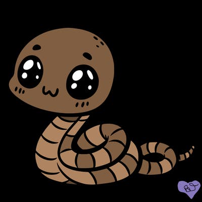 a cute little hognose snake