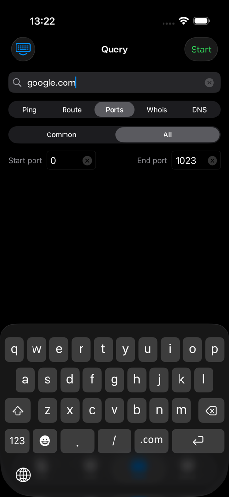 Network Analyzer: net tools - L'outil d'analyse des ports de l'application Network Analyzer affiche une requête pour google.com.