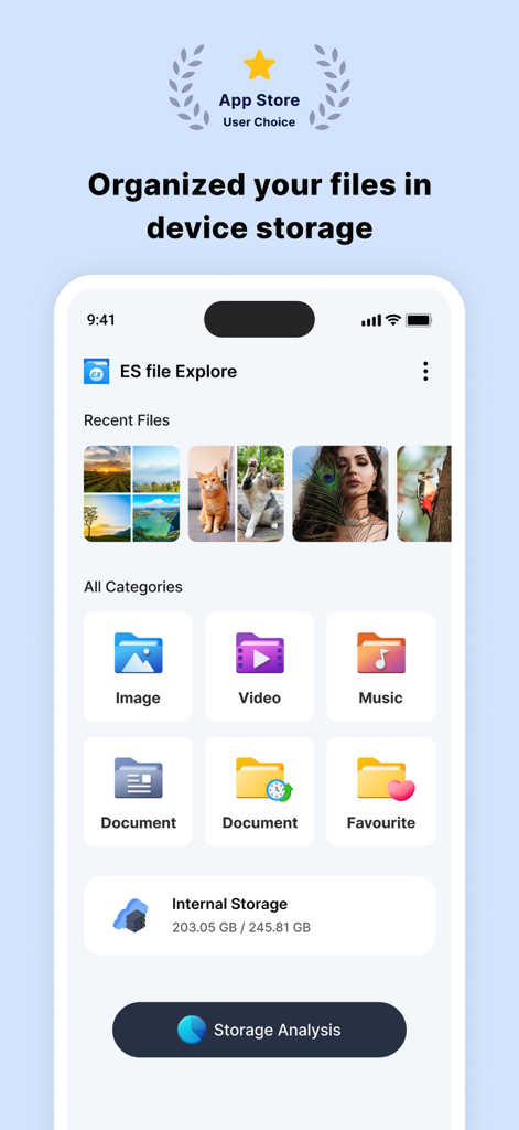 Tableau de bord ES File Explorer montrant les catégories de fichiers et l'analyse du stockage sur un iPhone