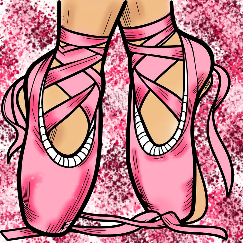 ballet shoes