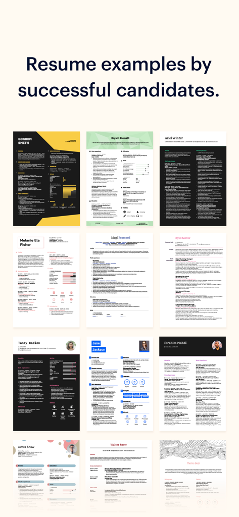 A grid of diverse and professional resume templates and examples created by successful job candidates.