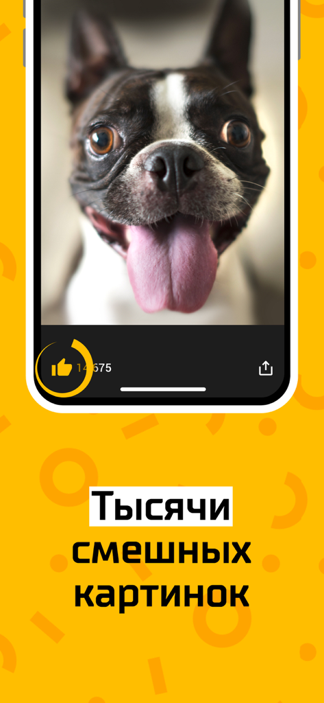 АйДаПрикол :) - A funny dog sticking its tongue out in the iDaPrikol app interface with Russian text