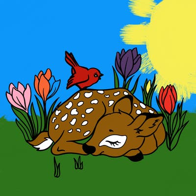 animals_61